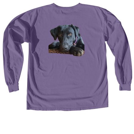 Focused & Faithful II, a Grape Comfort Colors Long Sleeve Tee (back-view)
