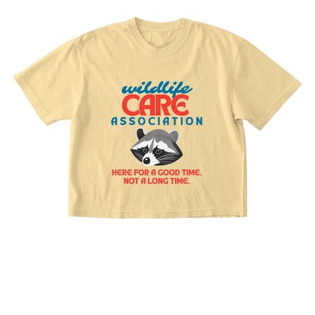 Here for a good time!, a Butter Comfort Colors Boxy Tee