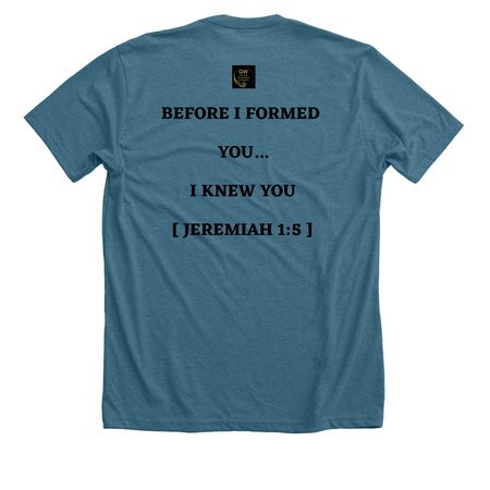You did not choose me, a Heather Deep Teal Premium Unisex Tee (back-view)
