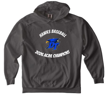 DT HAWKS, a Pepper Comfort Colors Pullover Hoodie