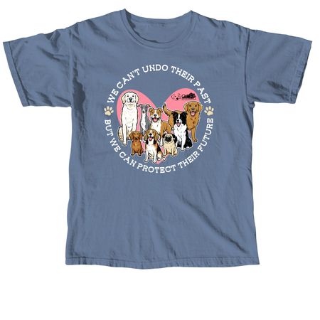 We can?t undo their past, a Blue Jean Comfort Colors Unisex Tee