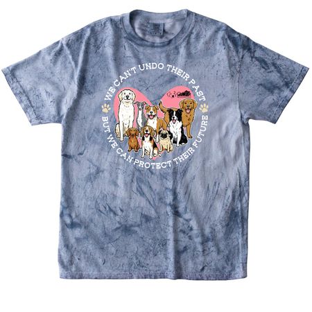 We can?t undo their past, a Ocean Comfort Colors Colorblast Tee