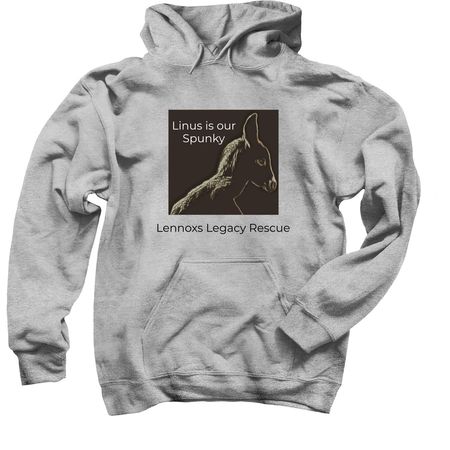LINUS, a Sport Grey Pullover Hoodie