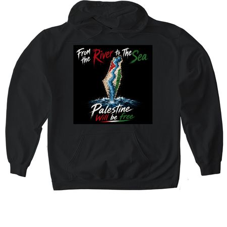 From the river to the sea...., a Black Gildan Softstyle Pullover Hoodie