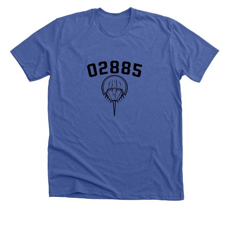 BIG 02885 COLLECTION, a Solid True Royal Premium Unisex Tee