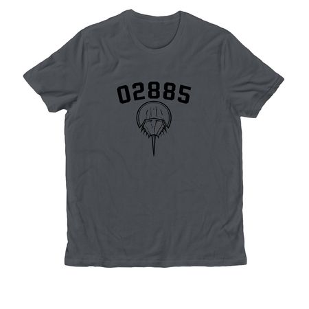 BIG 02885 COLLECTION, a Terrain Grey Allmade Organic Cotton Unisex Tee
