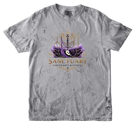Sanctuary Circus Arts, a Smoke Comfort Colors Colorblast Tee