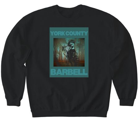 Determined, a Black Softstyle Crewneck Sweatshirt