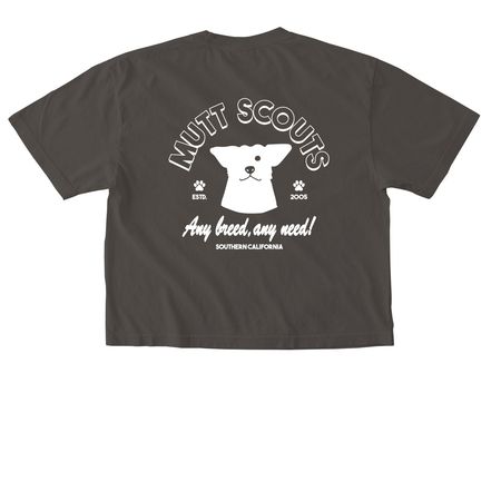 The Basics, a Pepper Comfort Colors Boxy Tee