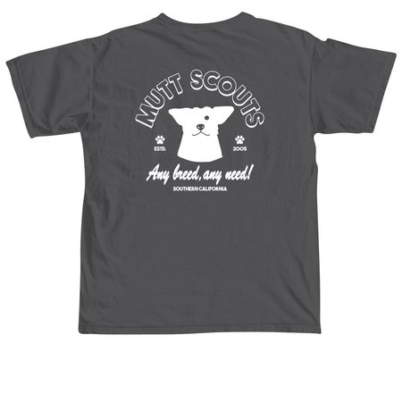The Basics, a Pepper Comfort Colors Unisex Tee