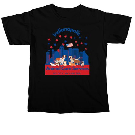 4th of July Themed Shirt, a Black Comfort Colors Unisex Tee