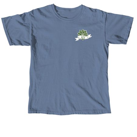 Amor Fati, a Blue Jean Comfort Colors Unisex Tee