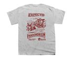Simple Hairy Pawter 2026, a Sport Grey Youth Unisex Tee (back-view)