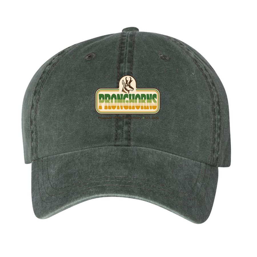 Accessories - Retro Pronghorn Ballcaps, a Forest Printed Pigment Dye Baseball Cap