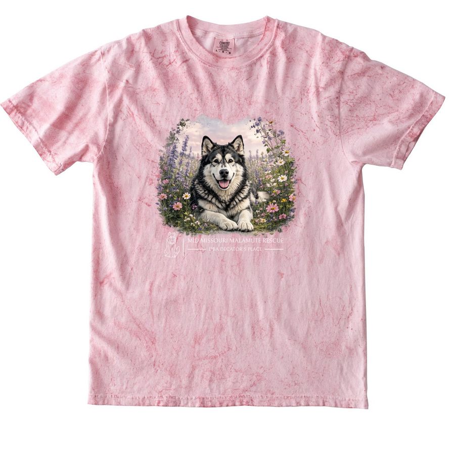 Funding, a Clay Comfort Colors Colorblast Tee