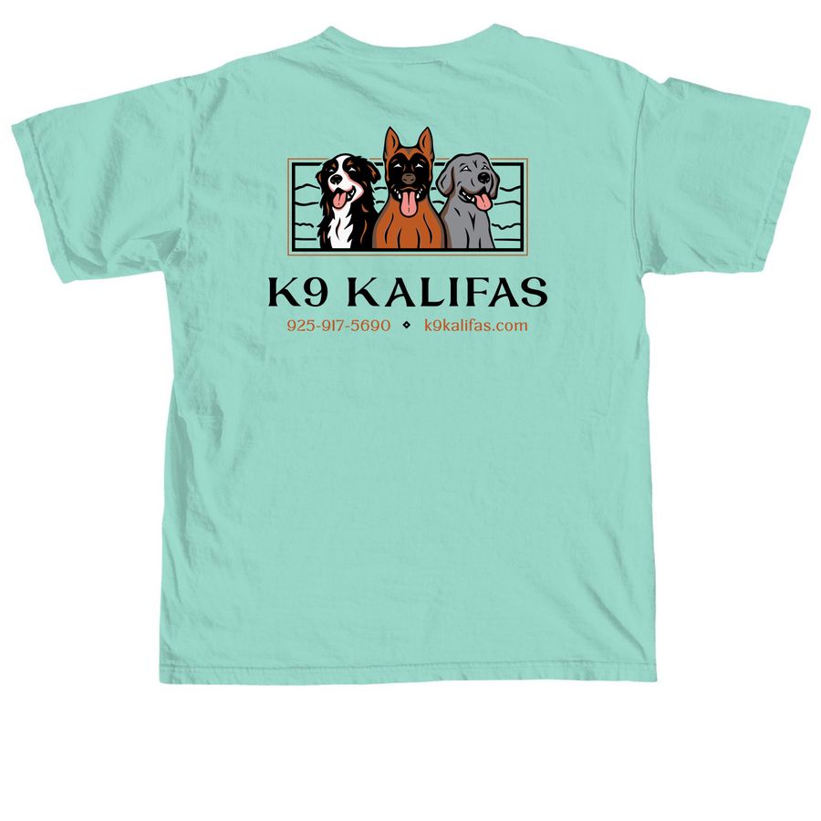 Train Your Dog Bold Collection, a Chalky Mint Comfort Colors Unisex Tee (back-view)