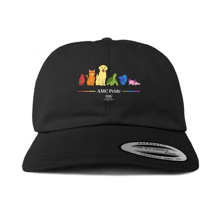 AMC Pride & Diversity Baseball Cap, a Black Printed Classic Baseball Cap