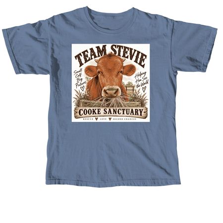 Let?s help Stevie see the world&nbsp;, a Blue Jean Comfort Colors Unisex Tee