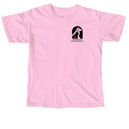 Spring Color Logo Apparel, a Blossom Comfort Colors Unisex Tee