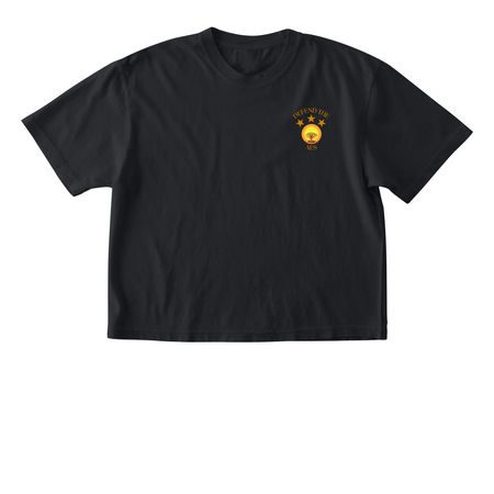 Defend The AES&nbsp;, a Black Comfort Colors Boxy Tee