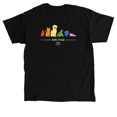 AMC Pride & Diversity T-Shirts, a Black Classic Unisex Tee