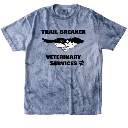 Tye Dye Running Dog, a Ocean Comfort Colors Colorblast Tee