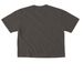 Freedom from the patriarchy&nbsp;, a Pepper Comfort Colors Boxy Tee (back-view)
