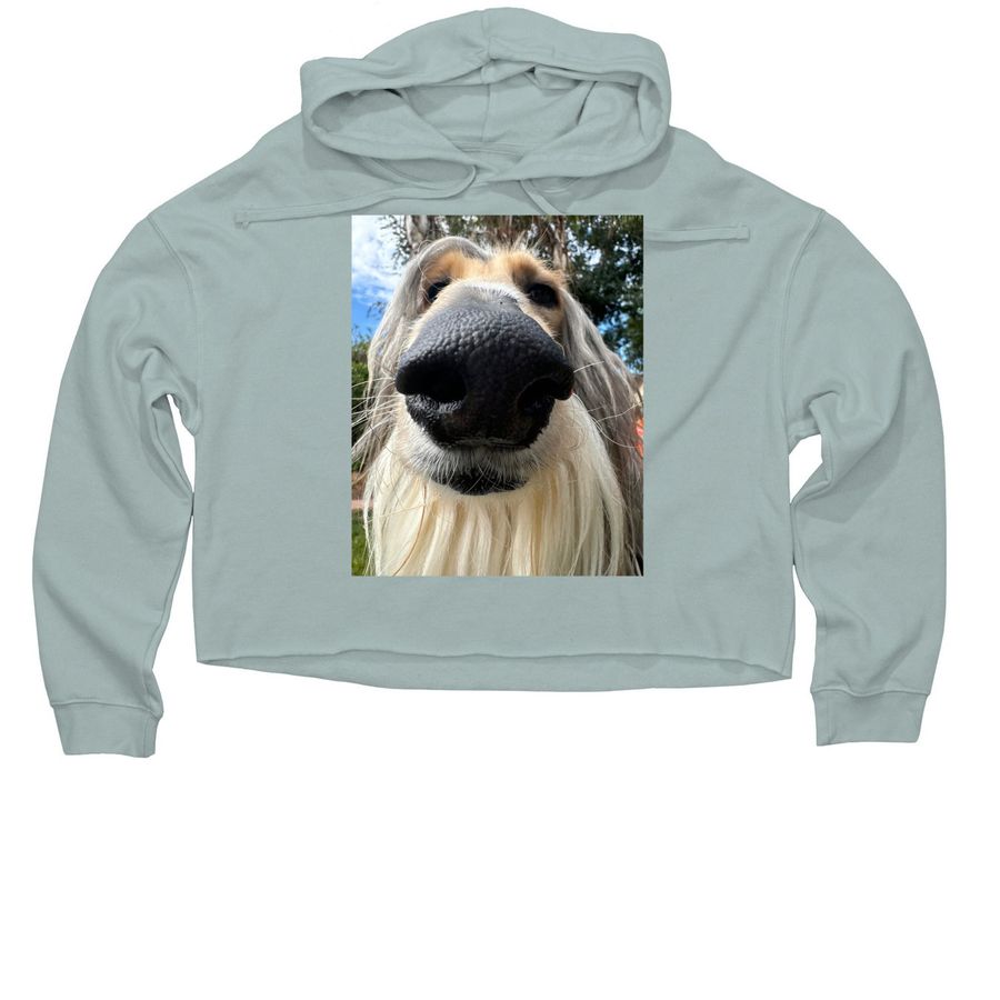 Fancy Pony Forever, a Sage Women?s Lightweight Cropped Hoodie