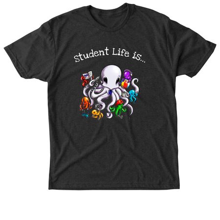 SLT shirts, a Vintage Black Triblend Unisex Tee
