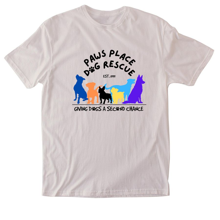 Since 1999, a Ice Grey Softstyle Cotton Tee