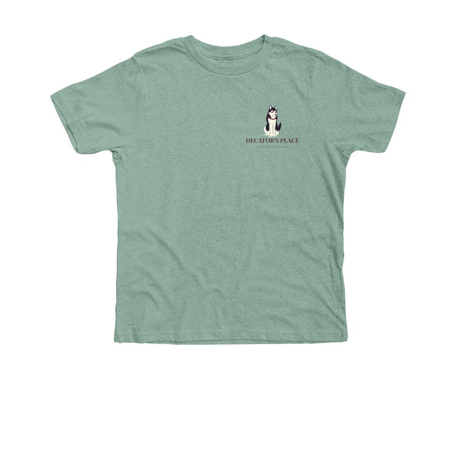 For the dogs, a Heather Dusty Blue Premium Youth Tee