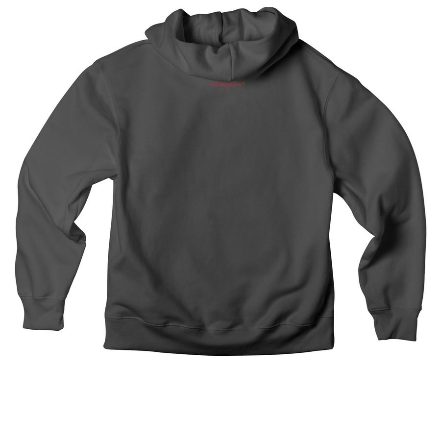 nobody cares.?- secret message, a Asphalt Premium Heavyweight Pullover Hoodie (back-view)