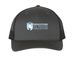 BISC Light Logo, a Charcoal/ Black