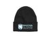 BISC Light Logo, a Black