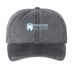BISC Light Logo, a Black