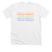 I Choose Kindness - Rainbow, a Solid White Blend Premium Unisex Tee