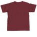 Watershed Ecosystem Shirts, a Brick Comfort Colors Unisex Tee (back-view)