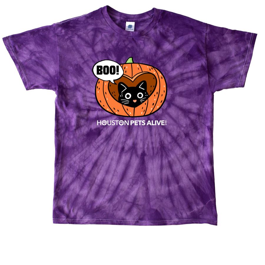 Pumpkin Purrfection, a Purple Classic Tie Dye Tee