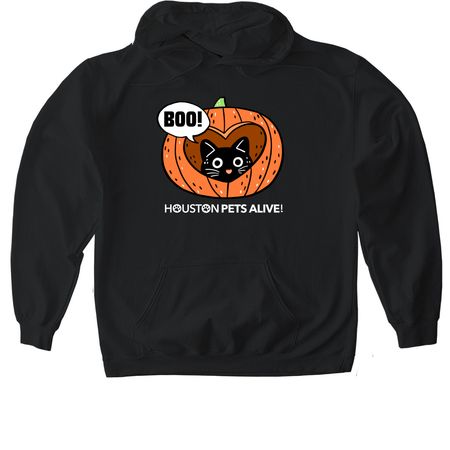 Pumpkin Purrfection, a Black Gildan Softstyle Pullover Hoodie
