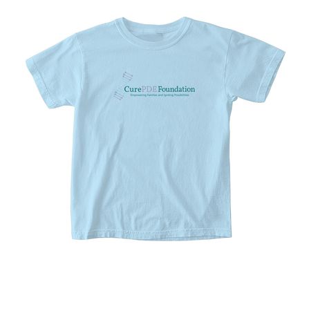 Triple Therapy&nbsp;, a Chambray Comfort Colors Youth Tee