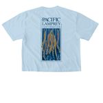 PLCI Shirts and Sweatshirts, a Chambray Comfort Colors Boxy Tee (back-view)