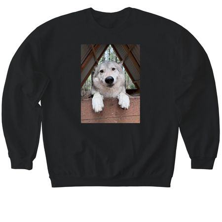 Riggs, a Black Softstyle Crewneck Sweatshirt