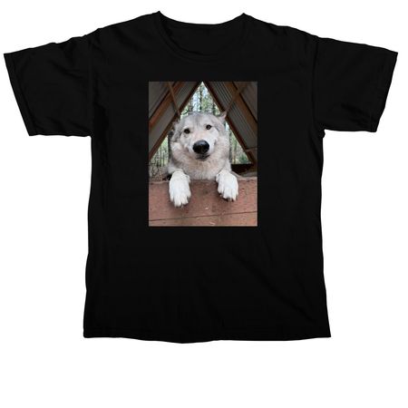 Riggs, a Black Comfort Colors Unisex Tee