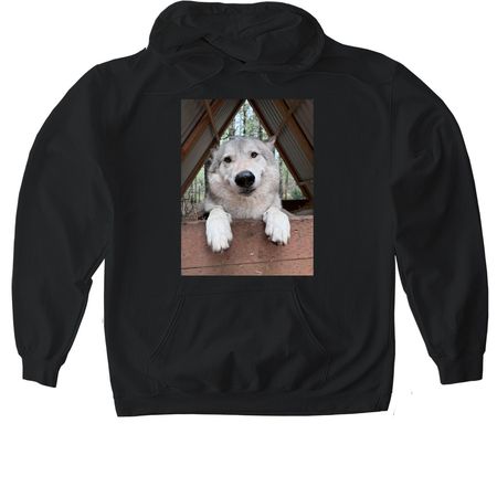 Riggs, a Black Gildan Softstyle Pullover Hoodie