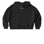 The Experiment 2026 Experimenter Tee, a Black Stanley/Stella Women?s Stella Nora Pullover Hoodie (back-view)