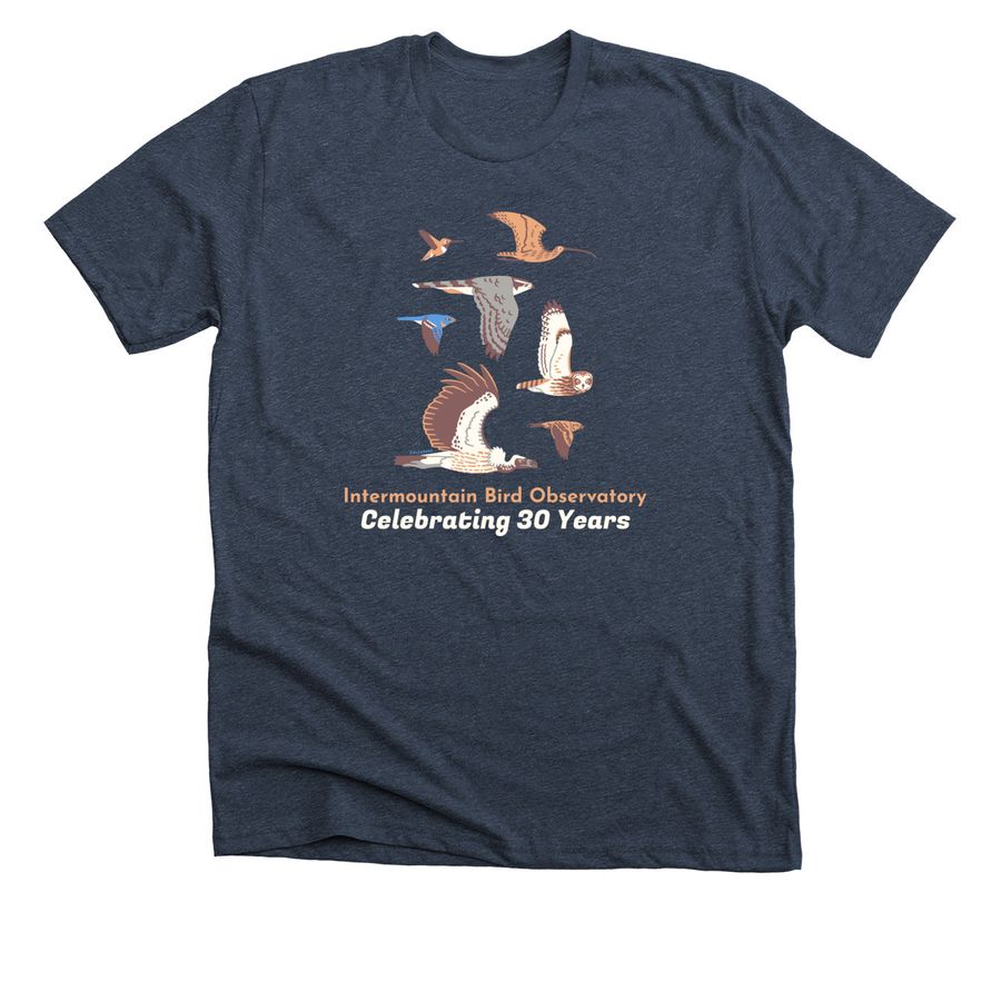 Celebrating 30 years, a Heather Midnight Navy Premium Unisex Tee