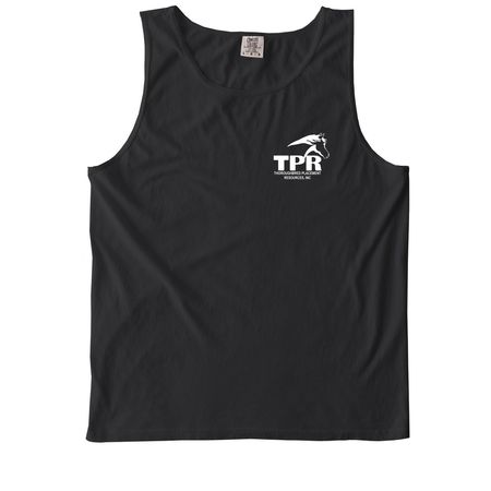 2nd Career Starts Here, a Black Comfort Colors Tank Top