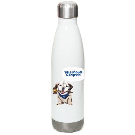 YMC Water Bottle, a White Stainless Steel Water Bottle