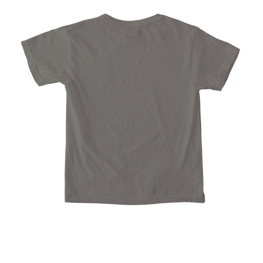 Nahant Youth Tee, a Grey Comfort Colors Youth Tee (back-view)