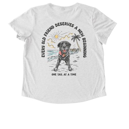 Every Old Friend Deserves A New Beginning, a Fairly White Allmade Eco Triblend Women?s Scoop Neck Tee (back-view)